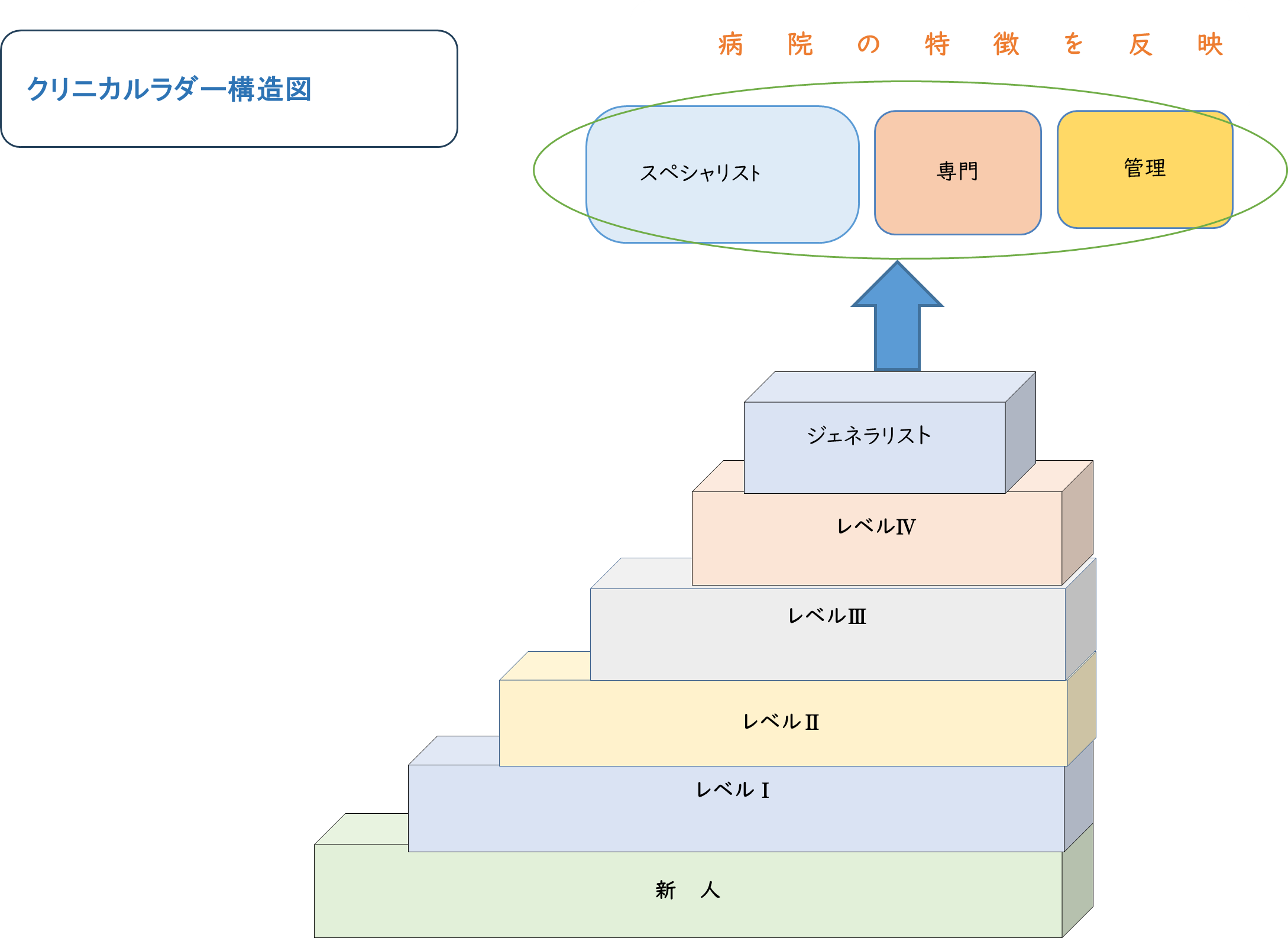 クリニカルラダーシステム